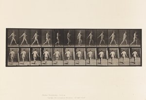 Planche 389. Fermier, semant des graines, 1872-1885 - Eadweard Muybridge