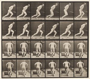 Pousser un Rouleau de Jardin, 1872-1885 - Eadweard Muybridge