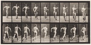 Plaque 3. Marchant - Eadweard Muybridge