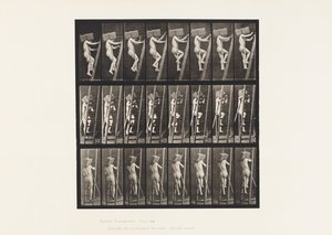 Planche 405. Transport de briques sur une échelle - Eadweard Muybridge
