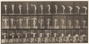 Planche 414. S