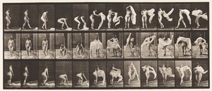 Planche 419. Toilette, se pencher, jeter un châle autour des épaules - Eadweard Muybridge