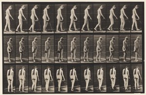 Planche 42. Marche, verser de l