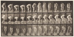 Planche 433. Tordre des vêtements - Eadweard Muybridge