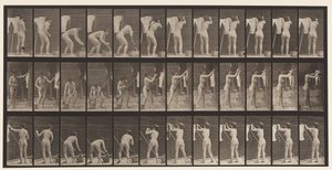 Accrocher des Vêtements sur une Corde, 1872-1885 - Eadweard Muybridge