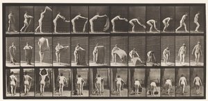 Planche 439. Étendre un tapis sur le sol - Eadweard Muybridge