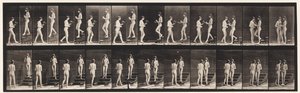 Plaque 448. Deux modèles - Eadweard Muybridge