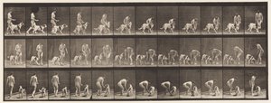 Nourrir un chien - Eadweard Muybridge