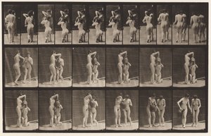 Planche 453. Deux modèles; 8 s