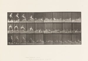 Planche 455. Se jetant sur un tas de foin - Eadweard Muybridge