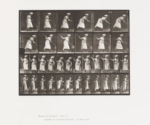 Râteler le foin - Eadweard Muybridge