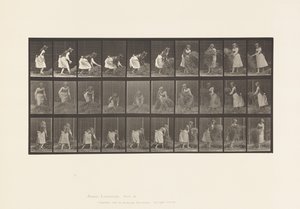 Planche 458. Ramassant des poignées de foin, tournant, les jetant - Eadweard Muybridge