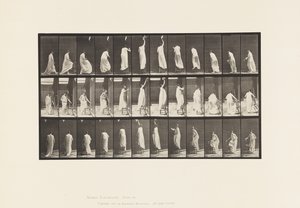 Planche 459. Montant sur une chaise, atteignant en haut et descendant, 1885 - Eadweard Muybridge