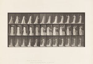 Planche 462. Versant une libation sur le sol, buvant dans une coupe, 1885 - Eadweard Muybridge