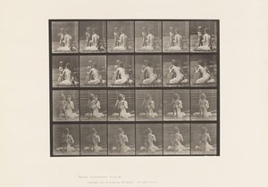 Planche 466. Deux modèles, enfant 70N, apportant un bouquet à 12, 1885 - Eadweard Muybridge