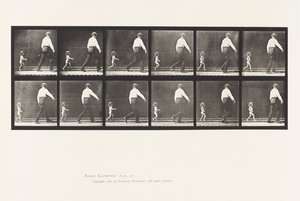 Planche 470. Enfant 20N, Courant après un Homme - Eadweard Muybridge