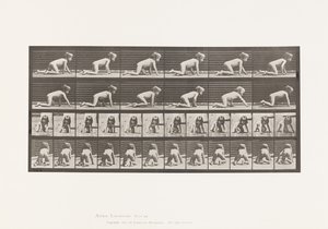 Planche 471. Enfant, rampant sur les mains et les genoux, 1885 - Eadweard Muybridge