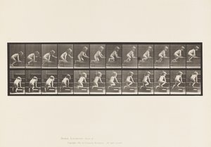 Planche 472. Enfant, rampant dans les escaliers, 1885 - Eadweard Muybridge
