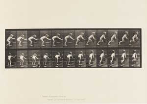 Planche 480. Enfant, marchant et rampant en montant les escaliers - Eadweard Muybridge