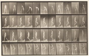 Planche 486. A, Tennis sur gazon; B, Monter une marche, 1872-1885 - Eadweard Muybridge