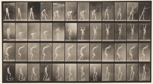 Planche 488. A, Tennis sur gazon; B, Haltères; C, Marche sur les mains, 1872-1885 - Eadweard Muybridge