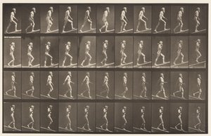 Planche 489. A, montée inclinée, 1872-1885 - Eadweard Muybridge