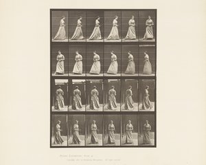 Marcher et Se Retourner, Bouquet dans les Deux Mains, 1885 - Eadweard Muybridge