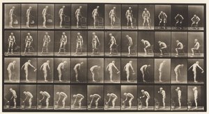 Planche 490. A, S
