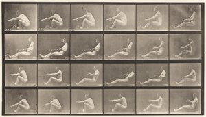 Planche 492. A - Eadweard Muybridge