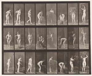 Ratisser et Emballer du Foin, 1872-1885 - Eadweard Muybridge