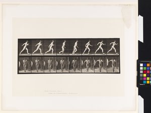 Planche 4. Marche - Eadweard Muybridge
