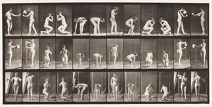 Plaque 501. Divers, se pencher, s