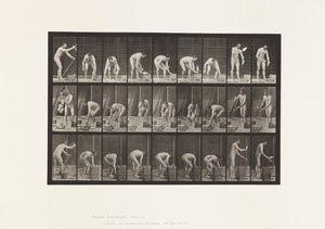 Planche 505. Maçonnerie - Eadweard Muybridge