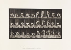 Maçonnerie - Eadweard Muybridge