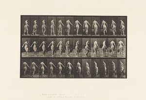 Plaque 50. Marchant, portant un seau - Eadweard Muybridge