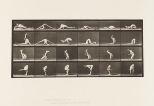 Contorsions au sol - Eadweard Muybridge