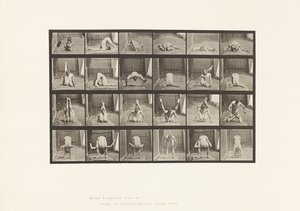 Planche 511. Contorsions au sol - Eadweard Muybridge
