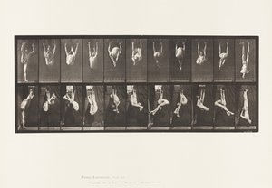 Planche 512. Contorsions sur anneaux - Eadweard Muybridge