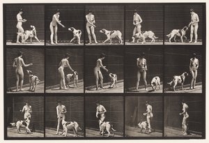 Plaque 514. Nourrissant un chien