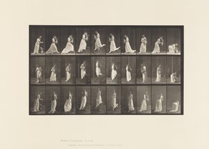 Planche 515. Montée et descente des escaliers, etc., 1885 - Eadweard Muybridge