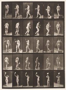Descendre une marche; Monter une marche - Eadweard Muybridge