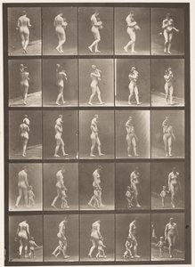 Planche 528. A,B,C - Eadweard Muybridge
