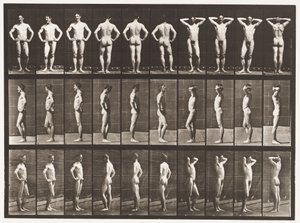 Planche 530. Diverses poses