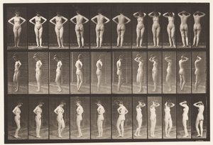 Plaque 531. Diverses poses - Eadweard Muybridge