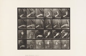 Mouvement de la main; Battre la mesure - Eadweard Muybridge