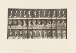 Planche 537. Amputation unique de la jambe; Sautillant avec des béquilles - Eadweard Muybridge