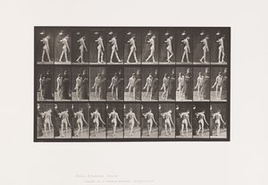 Planche 541. Sclérose Cérébro-Spinale Multiple (Choréique); Marche - Eadweard Muybridge