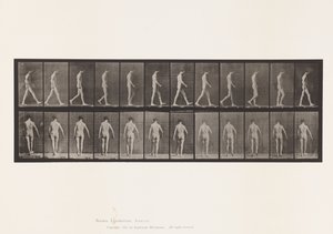 Ataxie locomotrice; Marche - Eadweard Muybridge