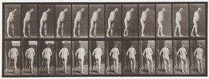 Planche 547. Hémiplégie; Marcher avec une béquille - Eadweard Muybridge