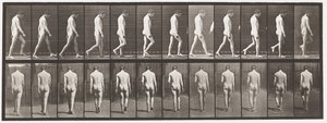 Planche 549. Épilepsie ; marche - Eadweard Muybridge